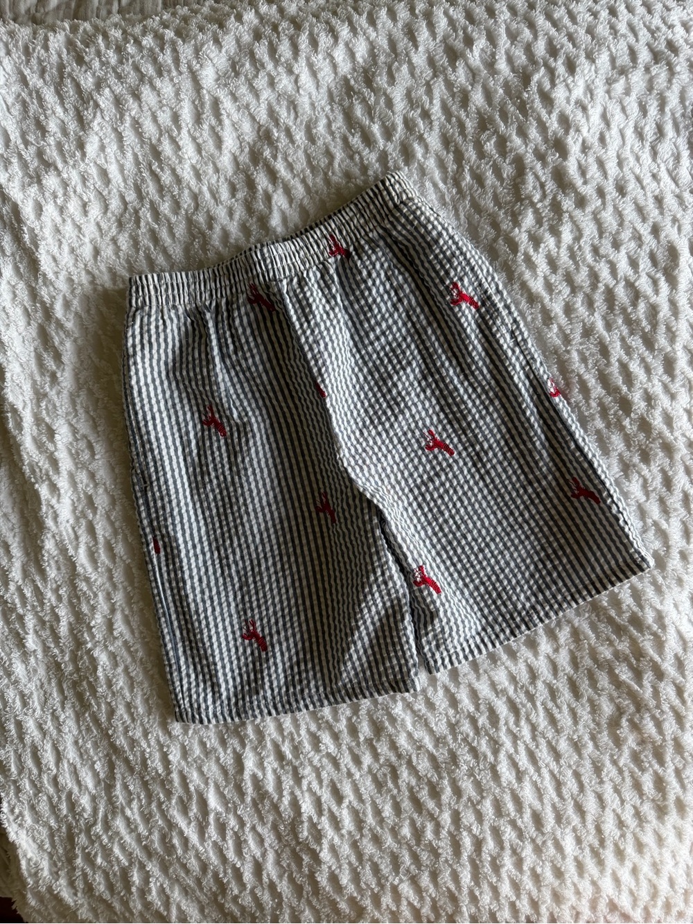 Kelly's Kids Black & White Seersucker Shorts with Red Embroidered Accents